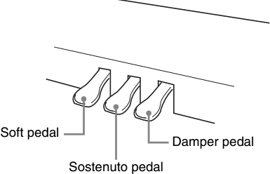damper pedal, soft pedal, and sostenuto pedal