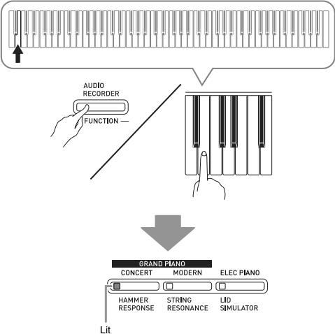 GRAND PIANO (CONCERT) button