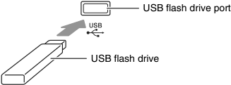 insert the USB flash drive into the USB flash drive port